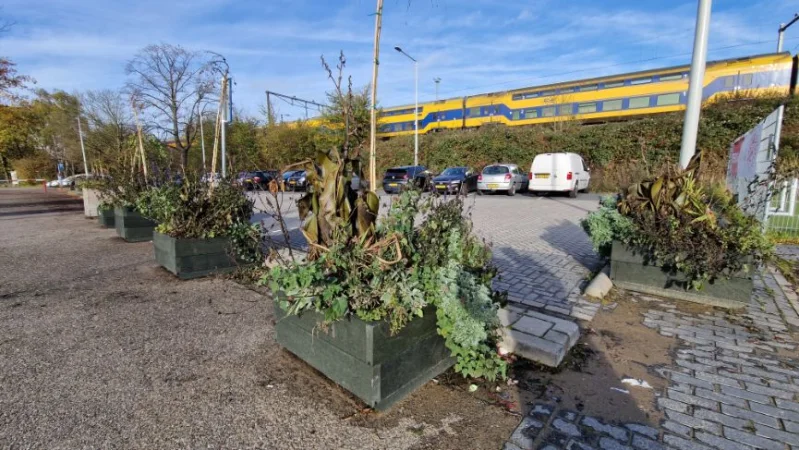 GreenMatter bloembakken Amsterdam