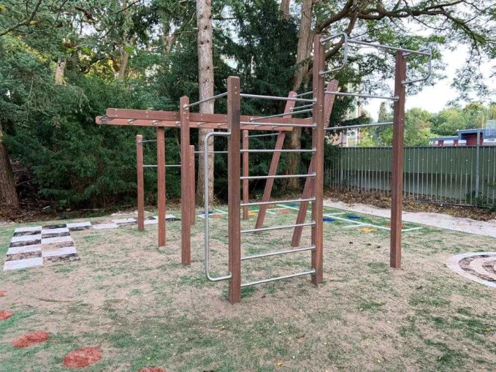Calisthenics Multi-tower