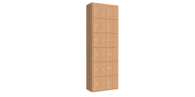 Lockerkast voorzien van 12 mini lockers