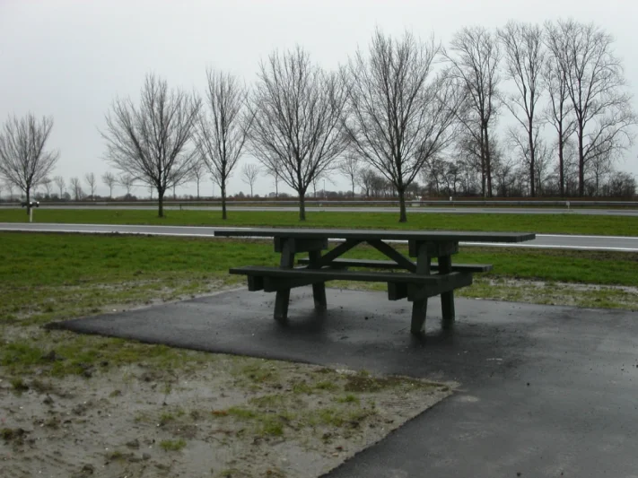GreenMatter wheelchair-accessible picnic table