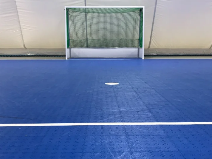 Indoor hockey goal