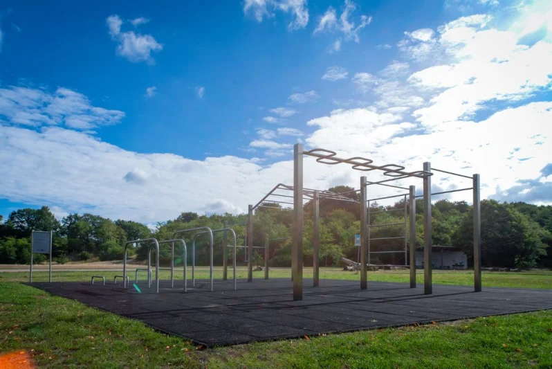CustomBars snakebar calisthenics