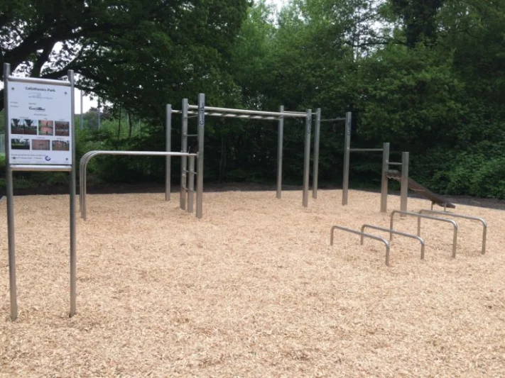 CustomBars medium 3 calisthenics