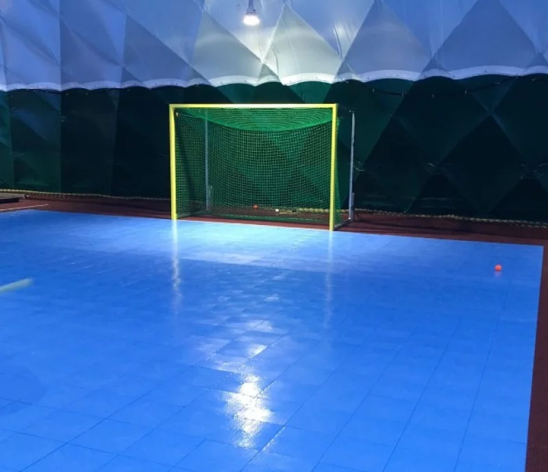 Indoor hockey goal ''Dome Edition''