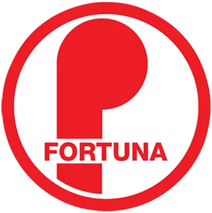 Korfbalvereniging-Fortuna-Delft