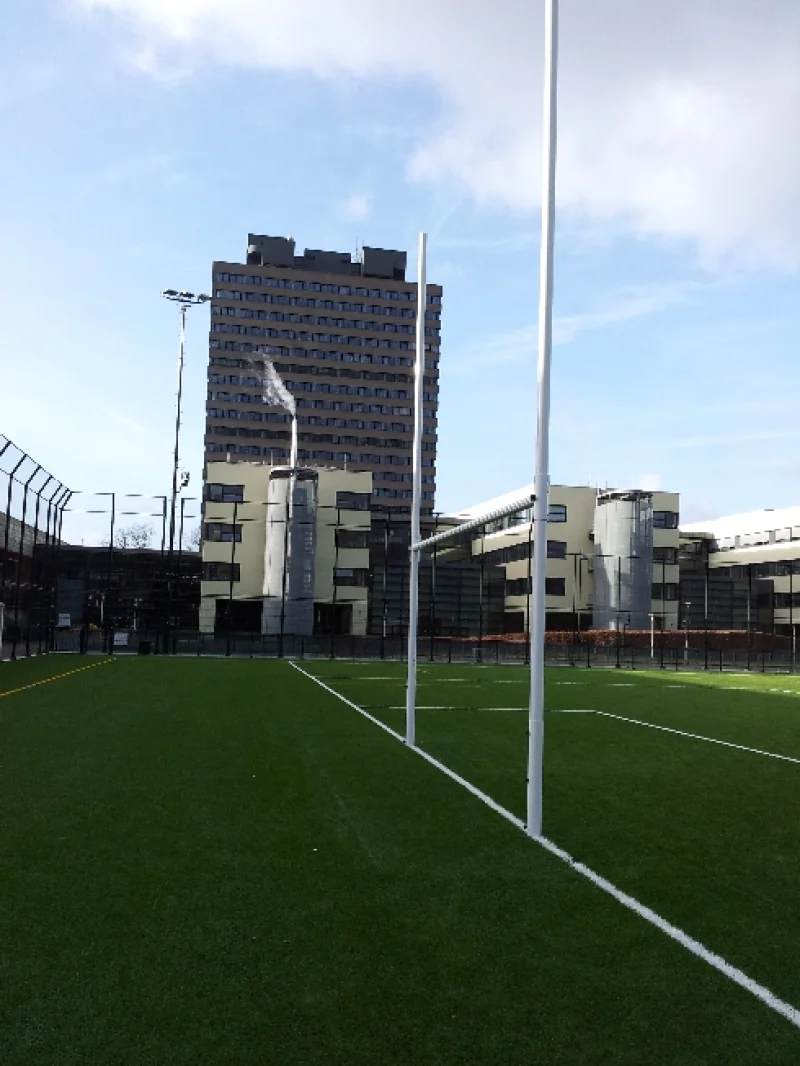 Scharnierbaar rugbydoel