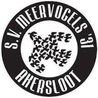 SV Meervogels