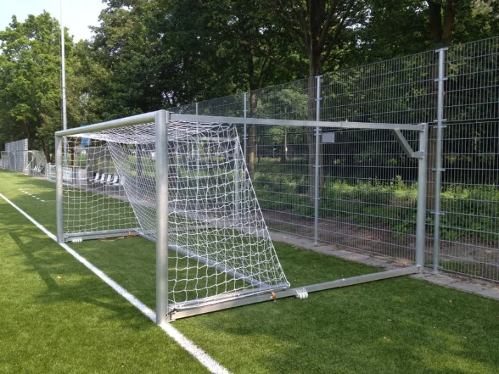 Foldable youth goals