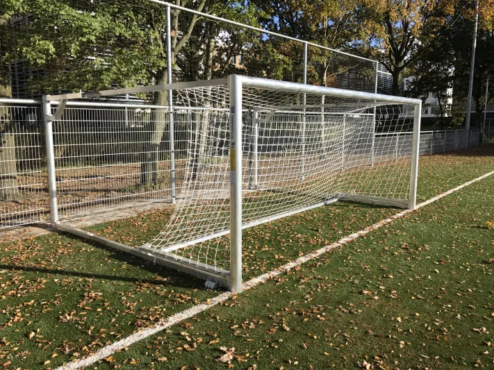 Foldable youth goals