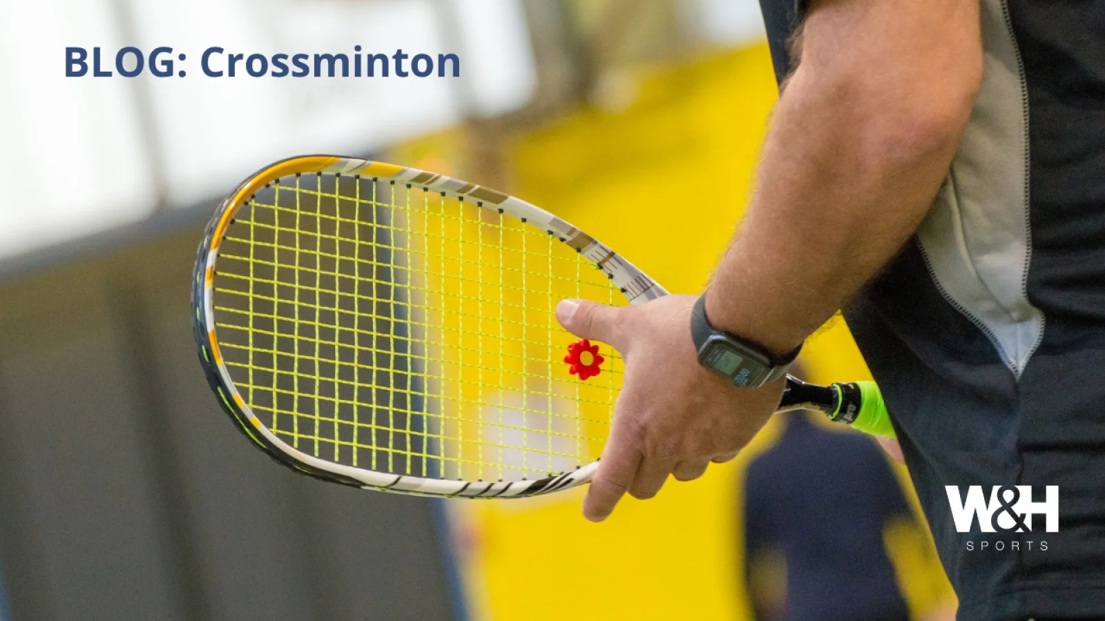 Crossminton