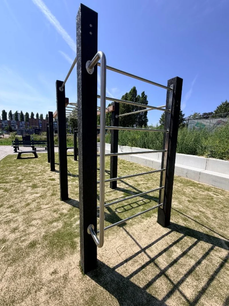 GreenMatter Calisthenics Monkeybar-S