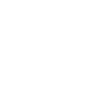 Korfbal vereniging De Eemvogels