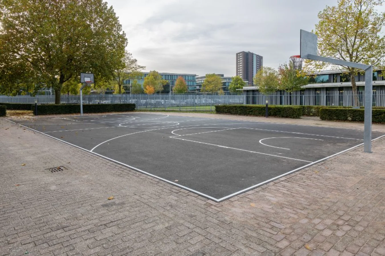 Sports campus set up at Utrecht University