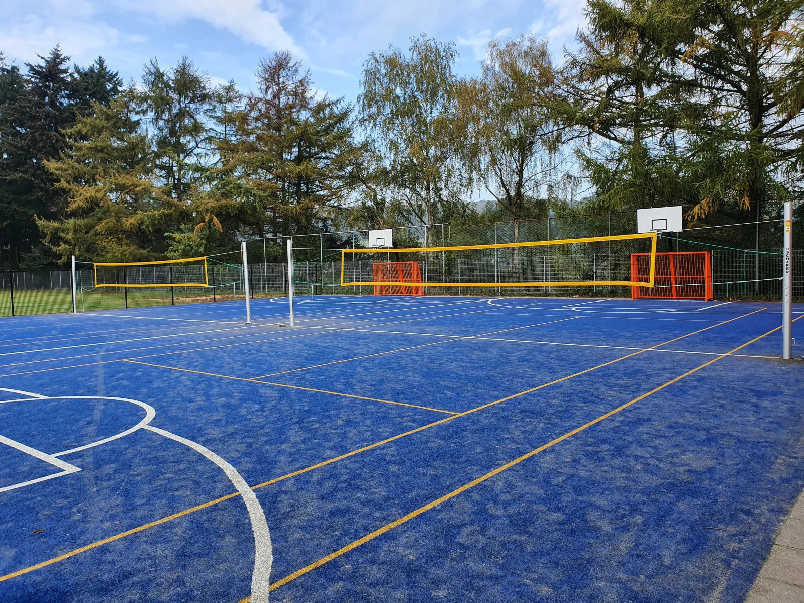 Volleybal