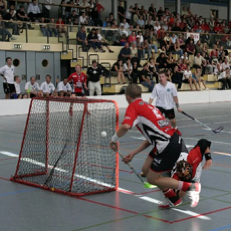 Floorball goal nets