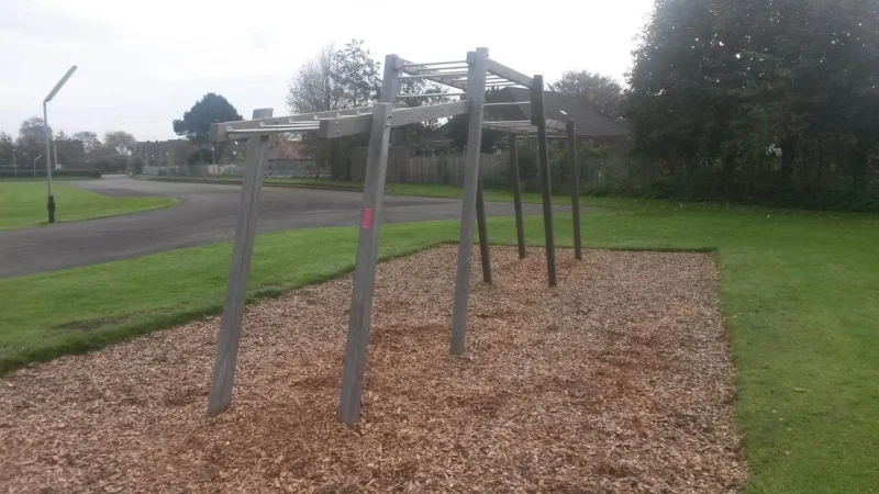 Outdoor fitness - monkey bar