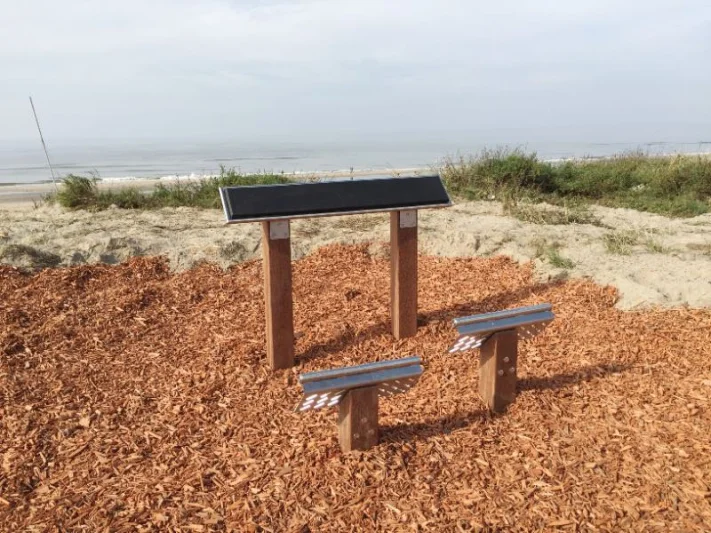 back trainer outdoor fitness