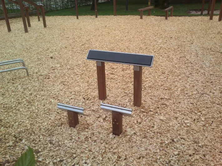 back trainer outdoor fitness