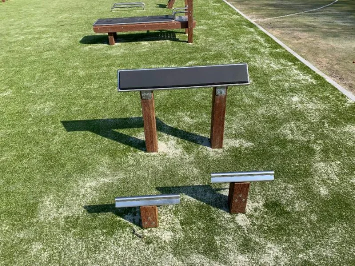 back trainer outdoor fitness