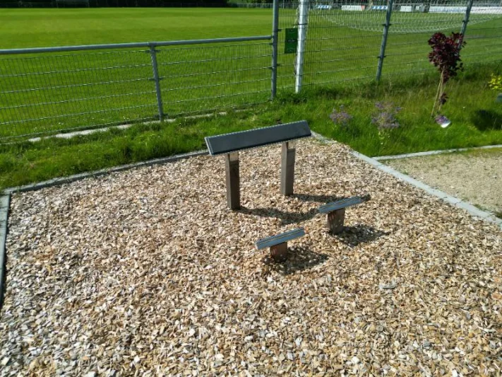 NATURE LINE outdoor fitnesstoestel back trainer